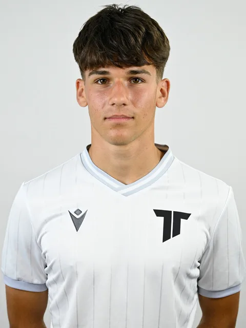Alex Šubert